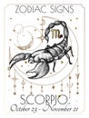 Vector illustration of zodiac signs. Scorpio in white and gold colors Royalty Free Stock Photo